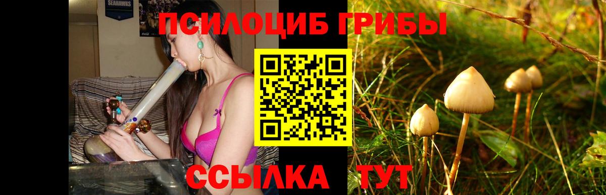 Галлюциногенные грибы прущие грибы Томск